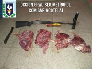 22ebb83aa7165496ce9fe870db68d16d12d6f102