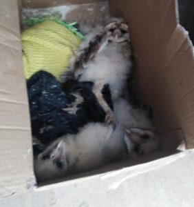 85458de938873b2d2dfe068a194318ae709f6ec7