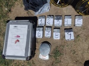 8ad5166e7c423bfbae8caa58bfc51ab078070dbb