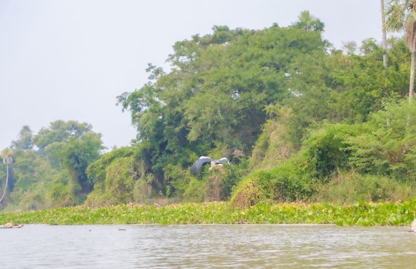 bf609842efc9e1dfffda60b2cce944a5