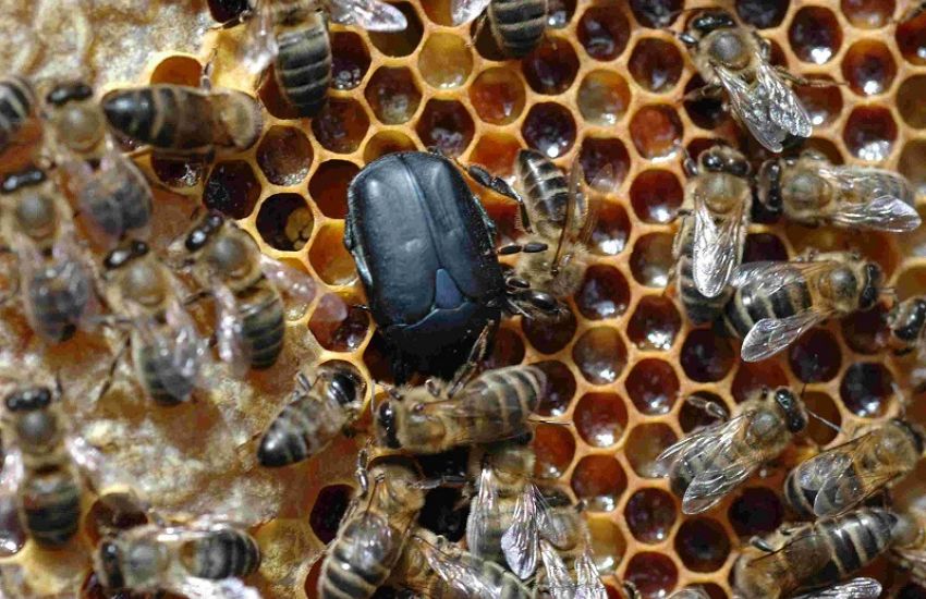 c47f94dc568aa747b35d8323157bf732