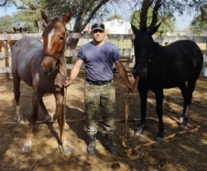 d56cdc3d66b1106726542453018dd593b68cf5e3