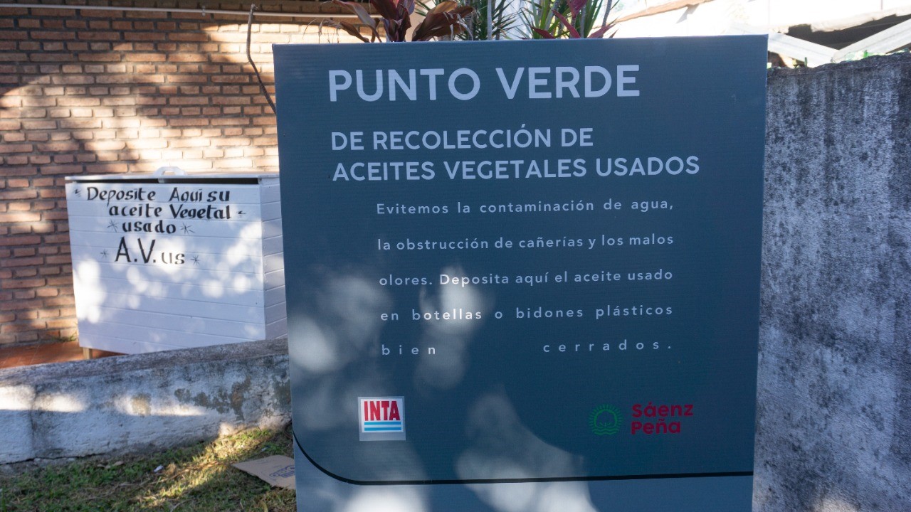 punto verdes