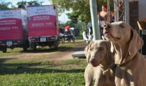 285441344_391156206374990_7970553671388997763_n