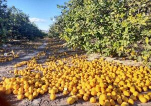 286924177_5553256031351800_2625746194372222499_n