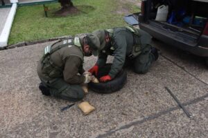 62a09f0db11bb381806698