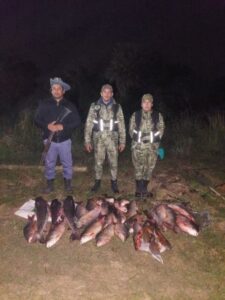 9881e3a24d6c1f32718d19fd7fb2db8f645011d6