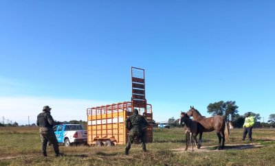 af95187e27c3922443c844cd388b2b44edf22635