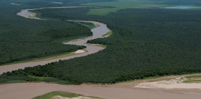 eco t