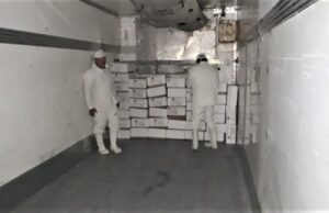 porcina
