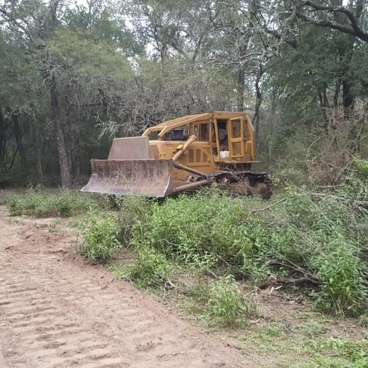 topadora1
