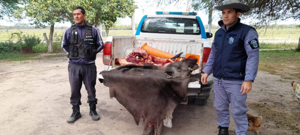 301217587_1446423122525037_5483491616280241352_n