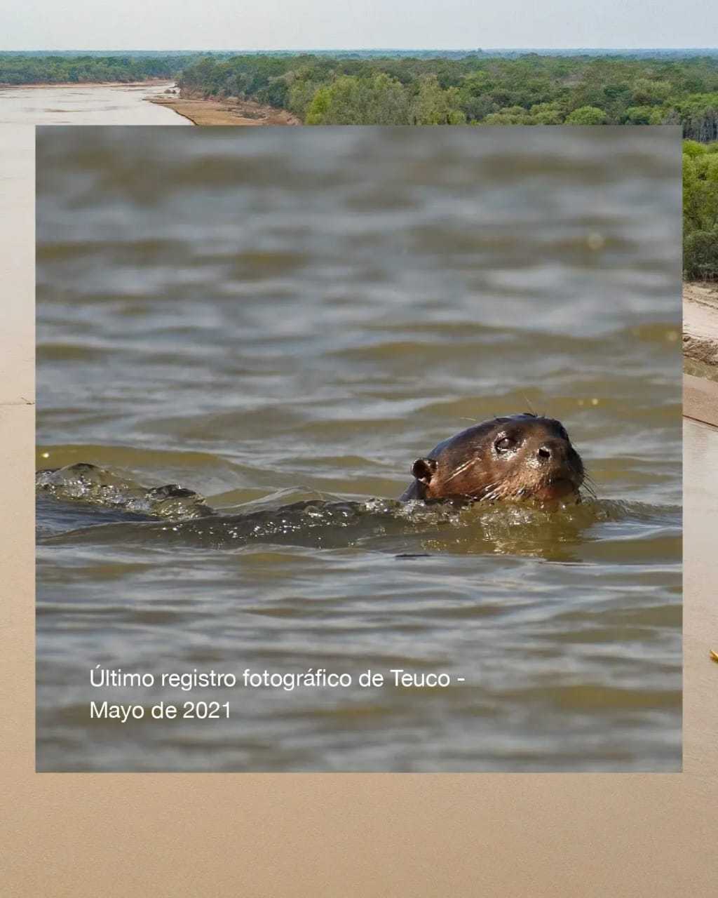 62f7ad2d0c72d031316437