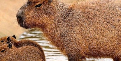 c5905c21a92021ddfc27eeccff03f30f16736718