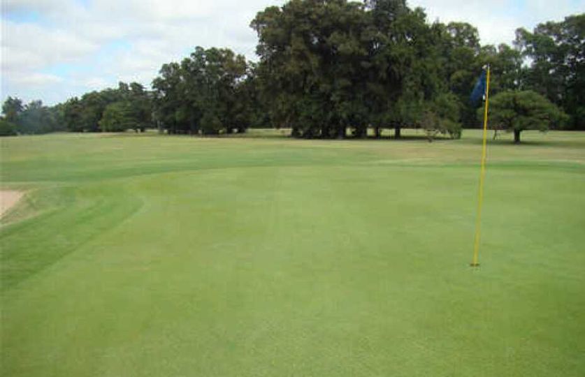 golf