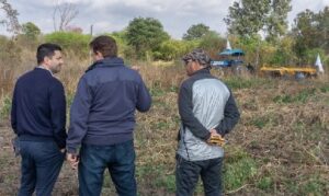 sáenz peña rastra de disco