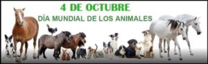 animales