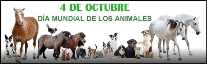 animales