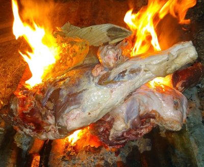 carne alm