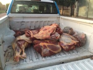 carnes5