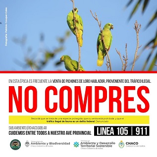 loro hablador