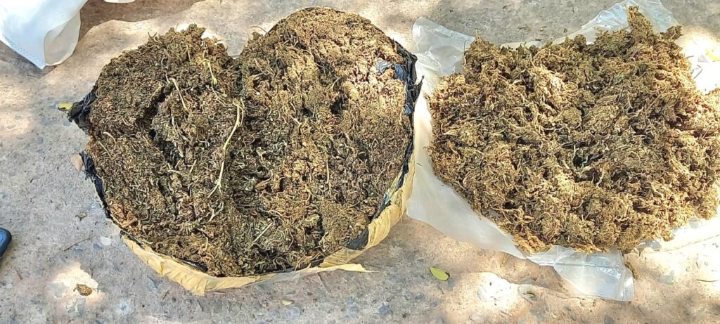 marihuana