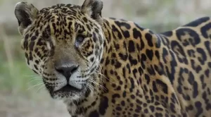 63ea445e68455723470420