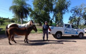 bd1b10c34d7effff800a88afddc839f955573780