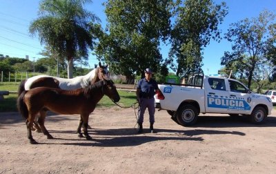 bd1b10c34d7effff800a88afddc839f955573780