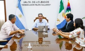 veterinarios capi