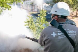 dengue