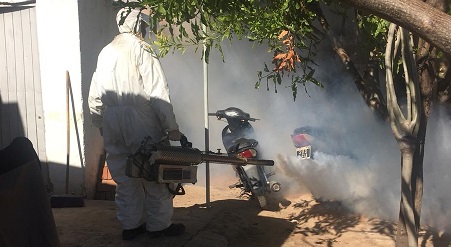 dengue fumigación