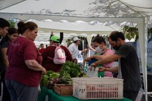 mercados populares3