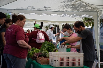 mercados populares3