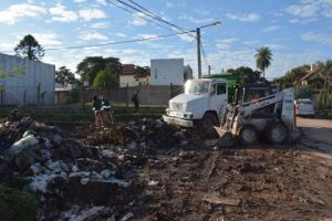 erradicacion de minubasurales (1)