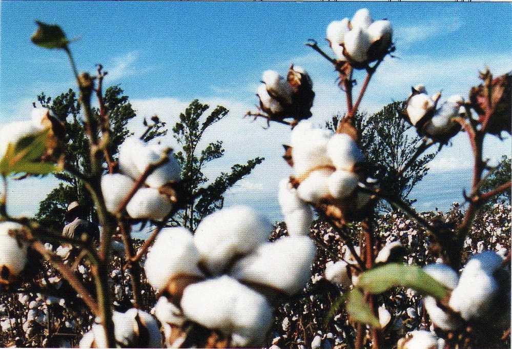 647f2607b4106038396793