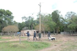 Colonia 2