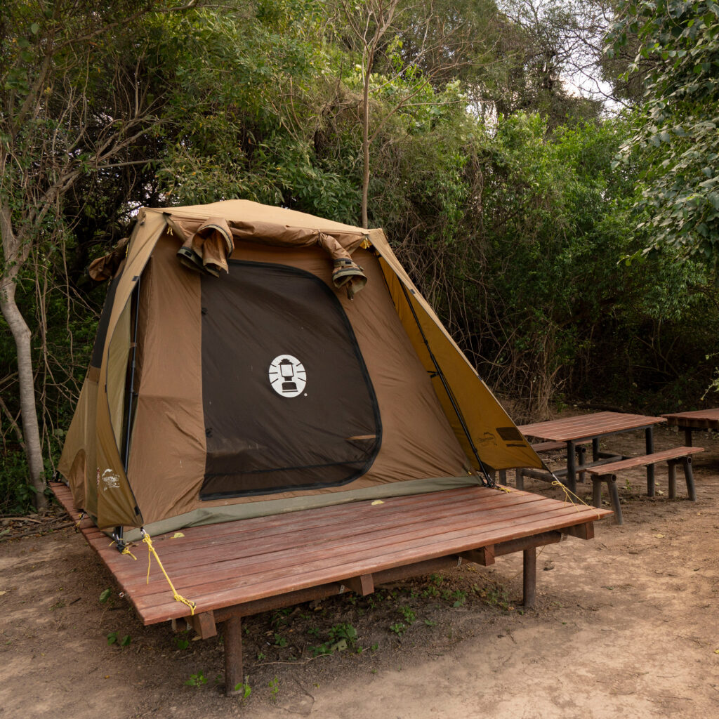 360102596_655651039931731_7396135335467911031_n