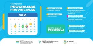 pago programas especiales