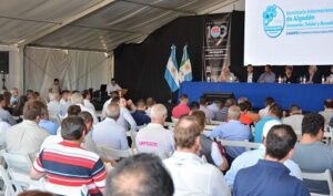 algodón seminario