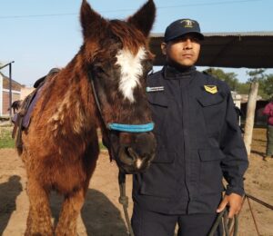 caballito
