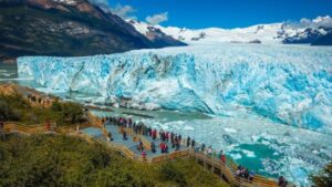 calafate