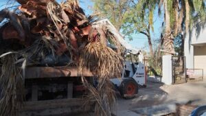 basura1