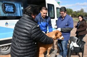 zoonosis