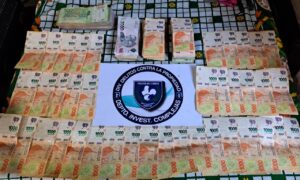 213f5067a8a0a56c (1)