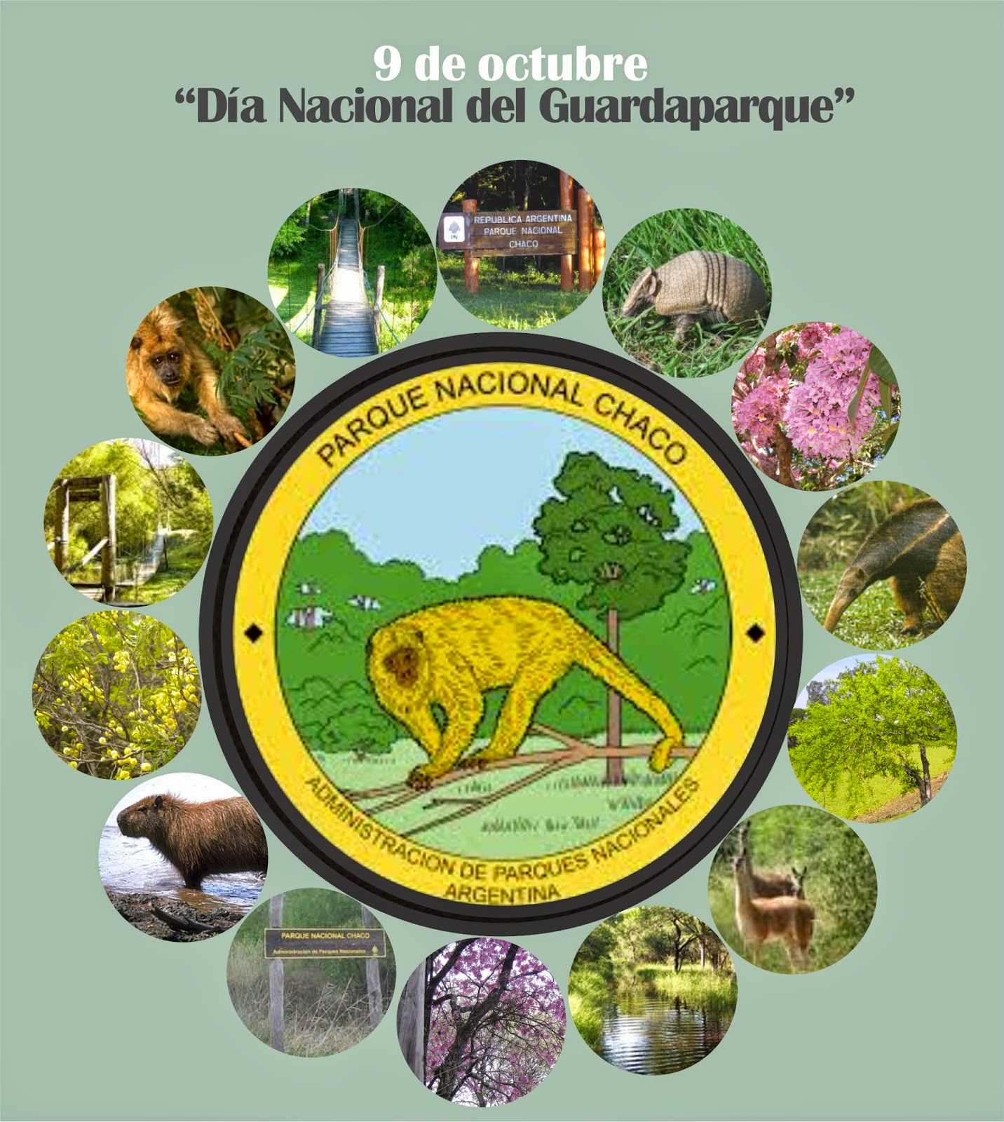 Hoy se conmemora el Día del Guardaparque Nacional - Primero Chaco
