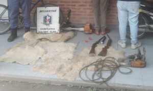 65319d56d43ae001510426