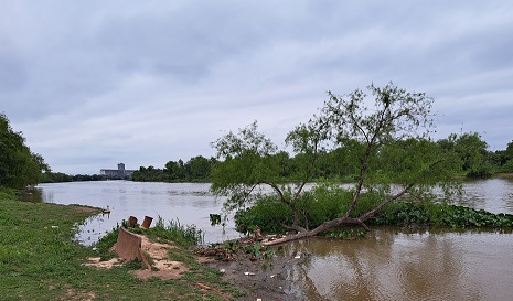 rio paraná1