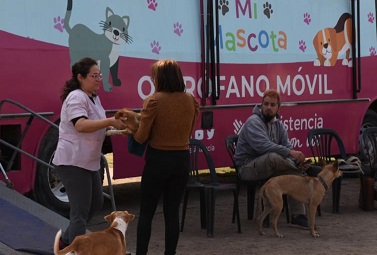 Mi Mascota