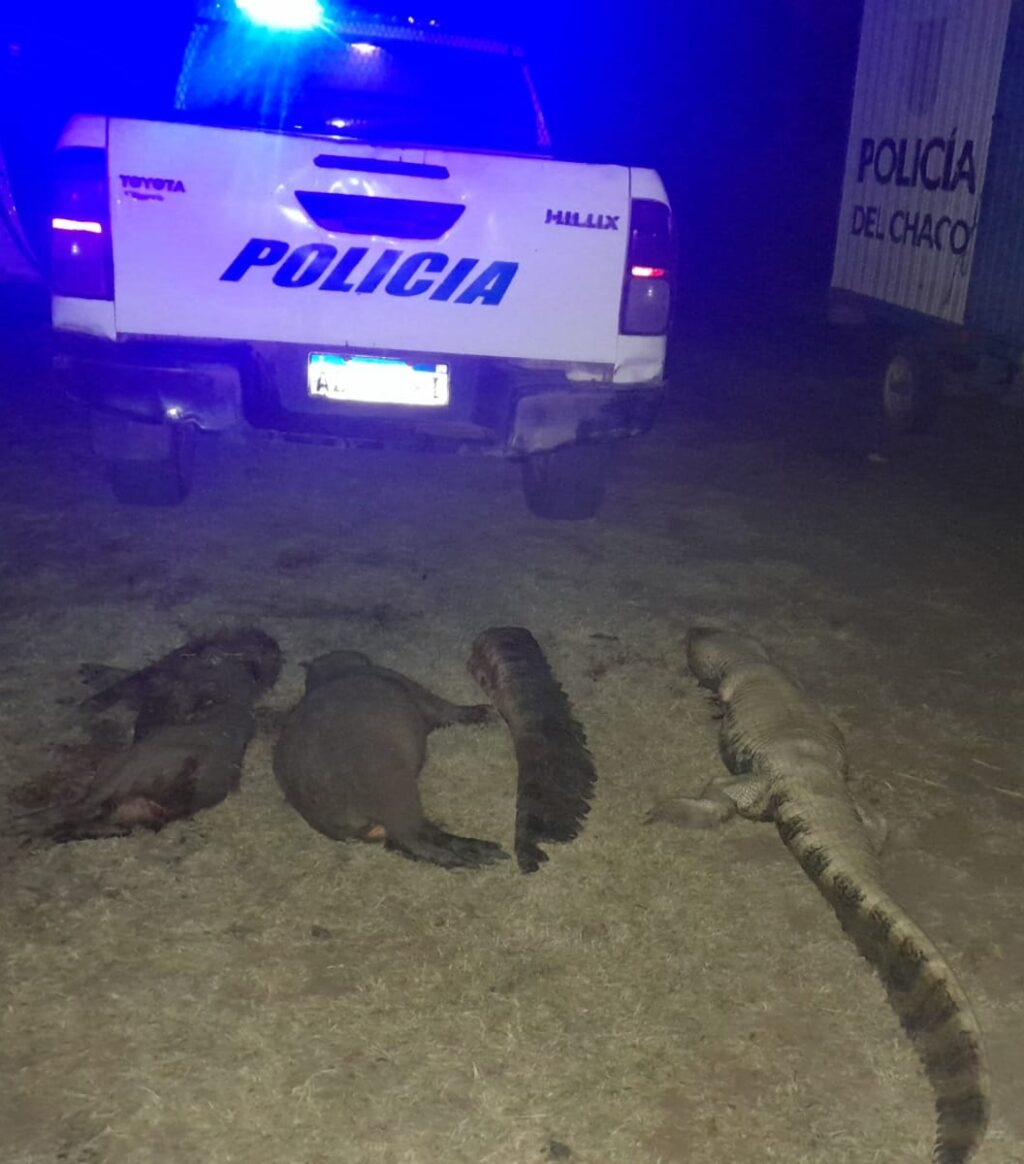 animalitos